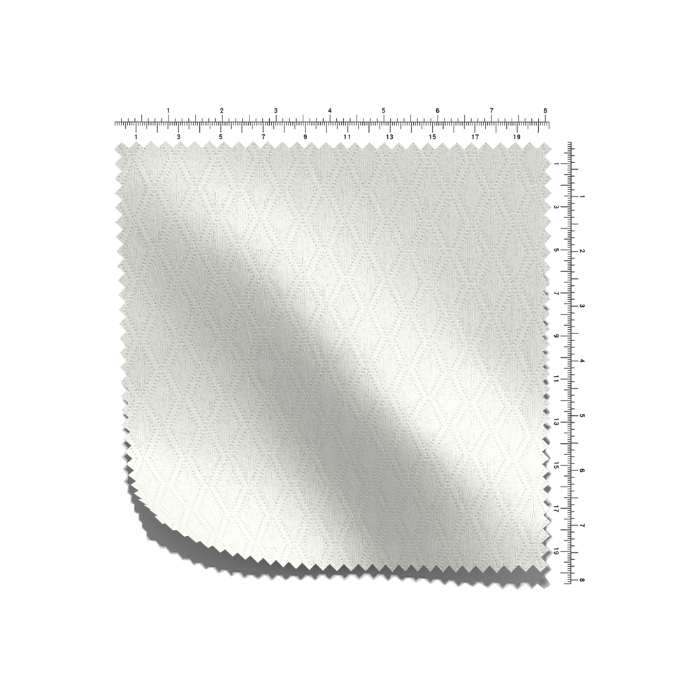 টি/এস স্কুবা